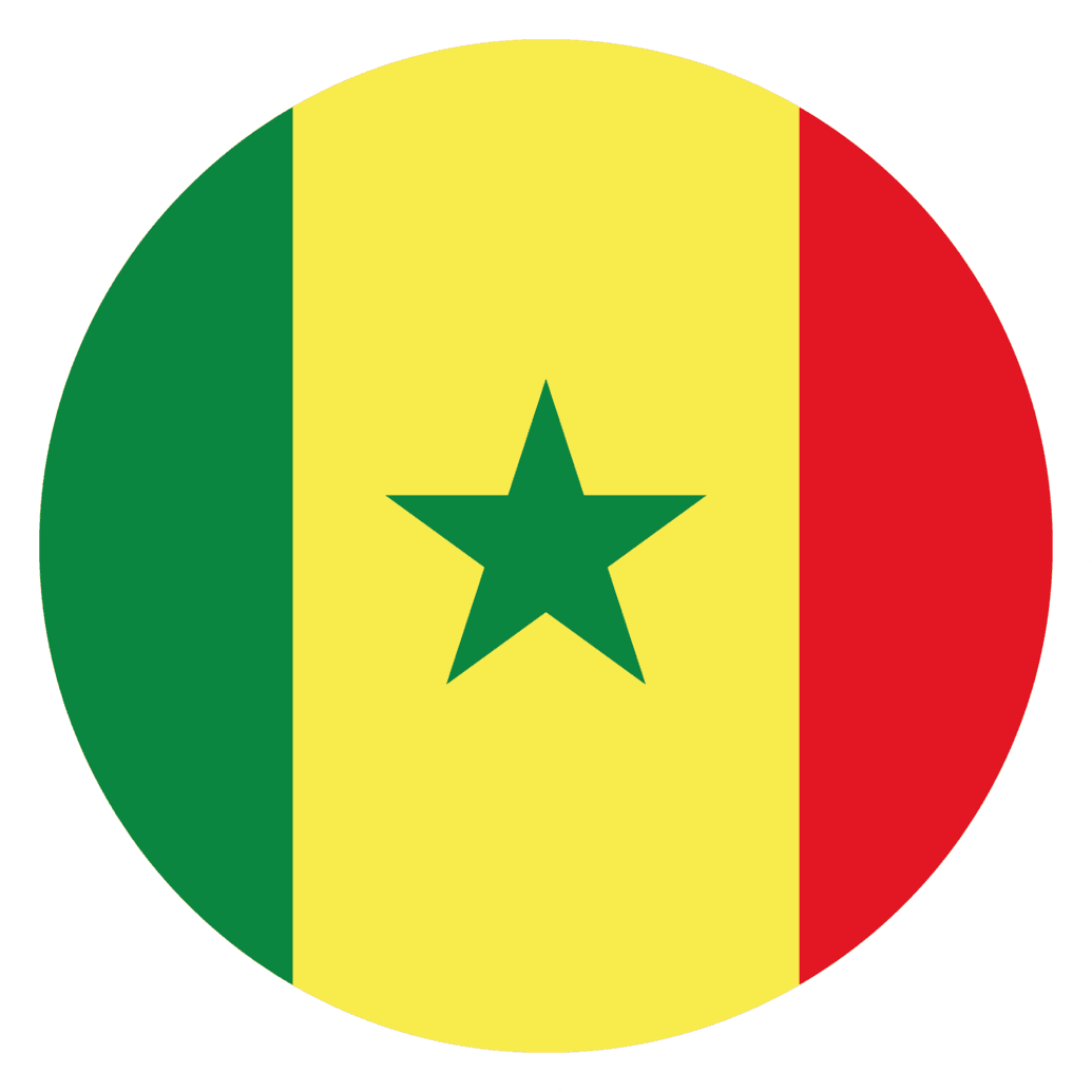 SEN flag