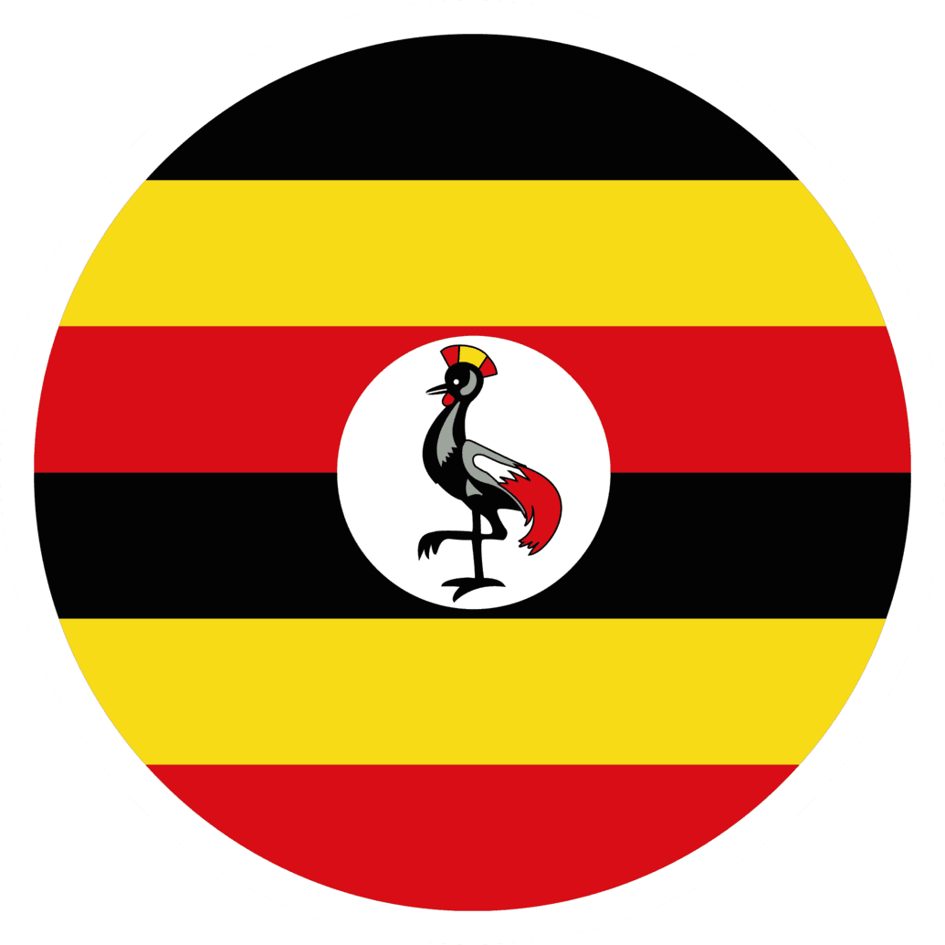UGA flag
