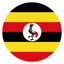 UGA flag