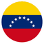 VEN flag